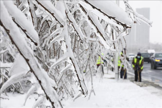 Miền Bắc Trung Quốc chạy đua đối phó với bão tuyết