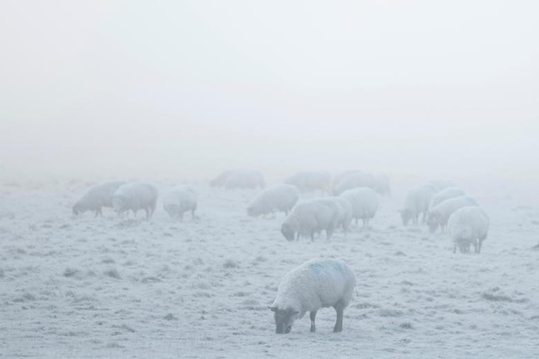 Hình ảnh người dân trên khắp thế giới co ro trong giá rét trước thềm Năm mới
