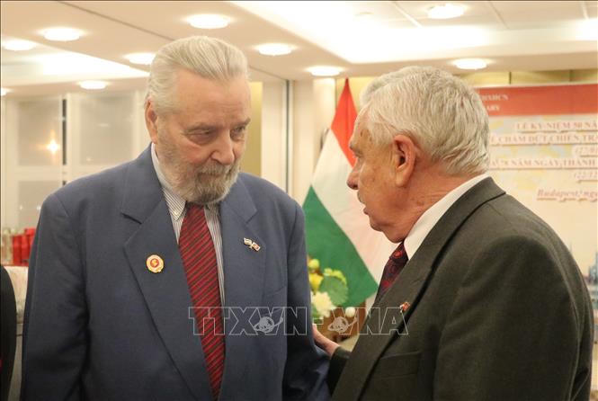 'Yêu Việt Nam từ cái nhìn đầu tiên'