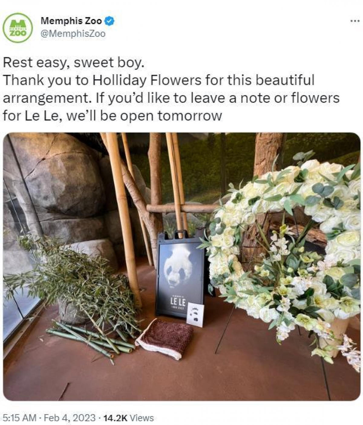 Trung Quốc và Mỹ hợp tác điều tra cái chết của gấu trúc Lạc Lạc