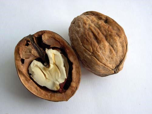 4 loại quả hỗ trợ phổi khỏe mạnh