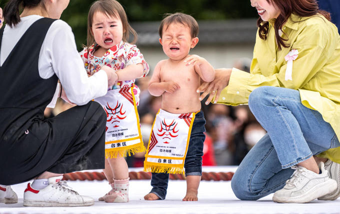 'Võ sĩ sumo nhí' thi khóc ở Nhật Bản