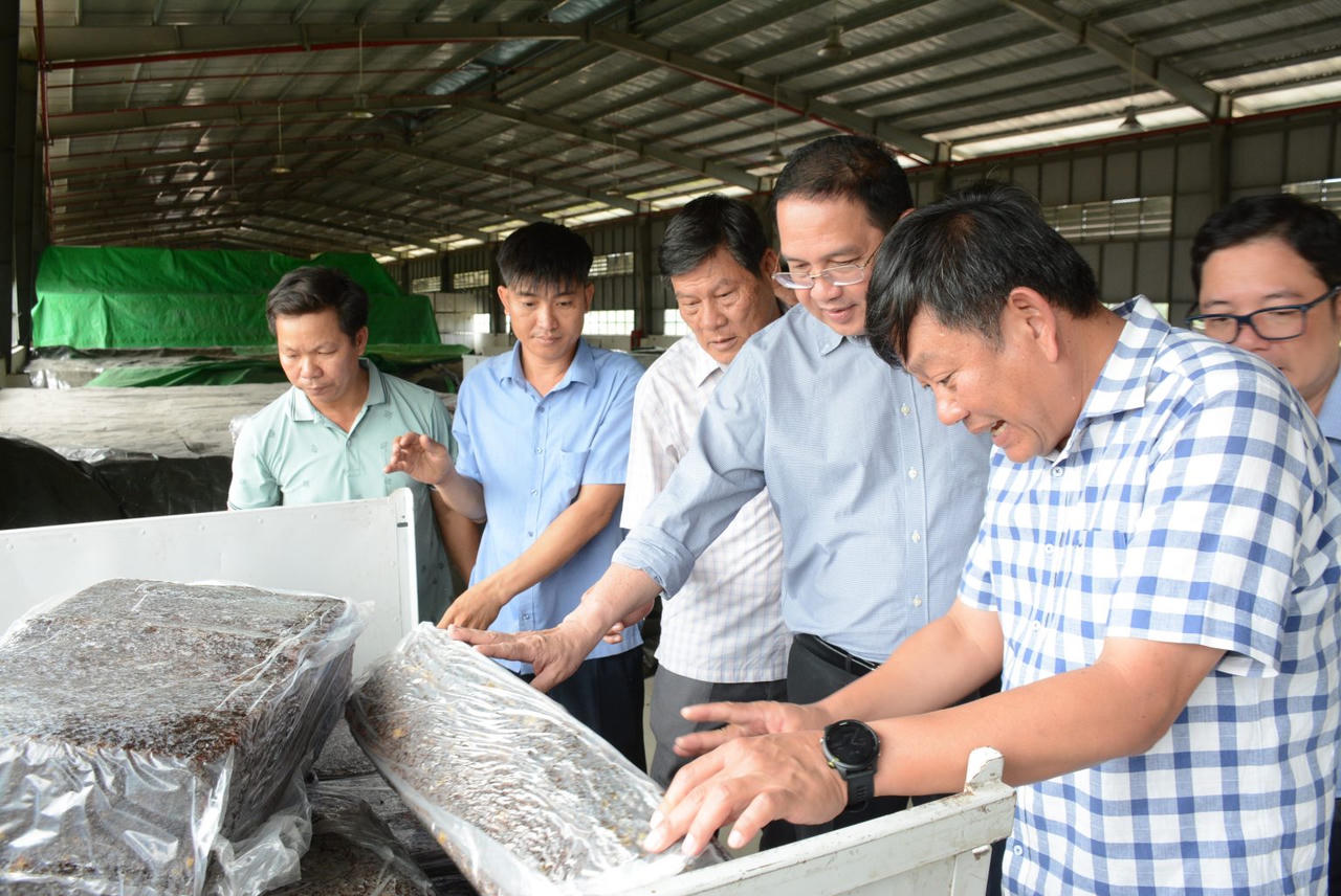 Đảng bộ Công ty Cao su Chư Mom Ray khẳng định vai trò lãnh đạo doanh nghiệp