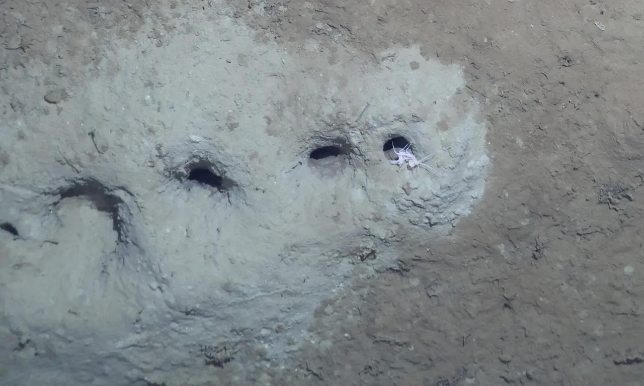 dãy lỗ đáy biển ảnh 1 Phát hiện bất ngờ về hàng lỗ thẳng tắp dưới đáy biển