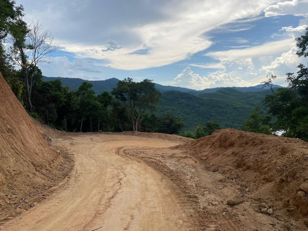 Phó Thủ tướng Trần Lưu Quang yêu cầu xác minh vụ phá rừng tự nhiên mở đường tại thị xã Đức Phổ