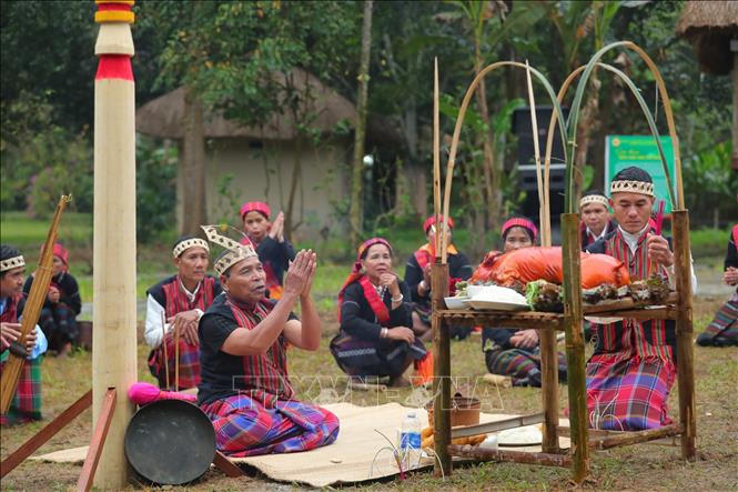 Chủ tịch nước dự Ngày hội sắc xuân trên mọi miền Tổ quốc