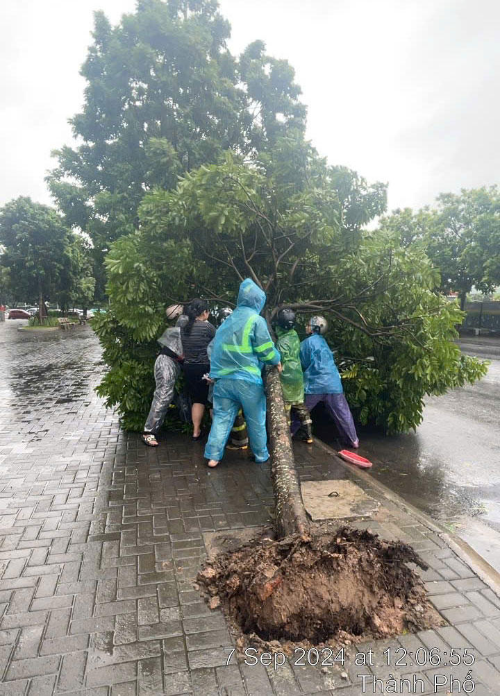 Bão quần thảo đồng bằng Bắc Bộ, 4 người tử vong, 6 người mất tích