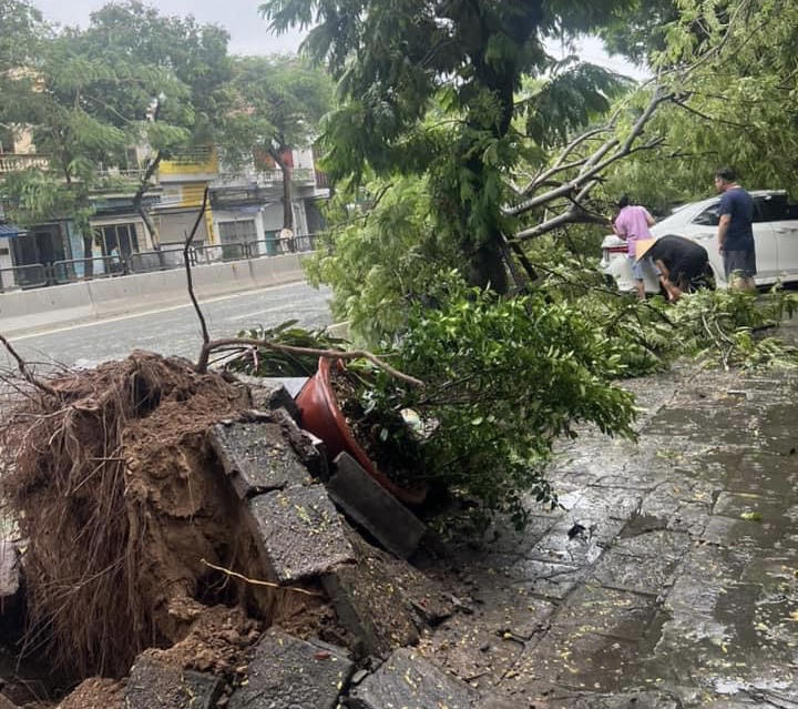 Bão quần thảo đồng bằng Bắc Bộ, 4 người tử vong, 6 người mất tích