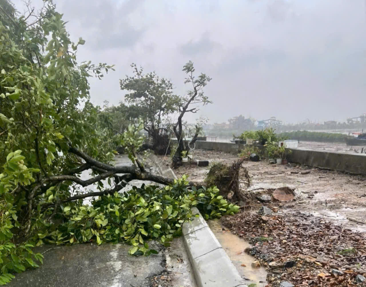 Bão quần thảo đồng bằng Bắc Bộ, 4 người tử vong, 6 người mất tích