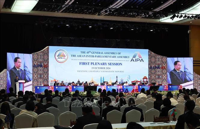 Chủ tịch Quốc hội phát biểu tại Phiên họp toàn thể thứ nhất Đại hội đồng AIPA-45