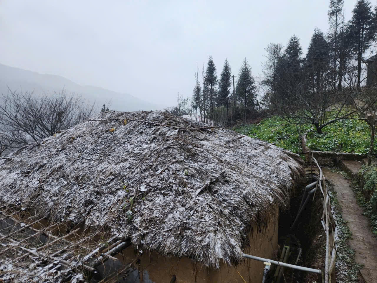 Tuyết rơi ở Y Tý