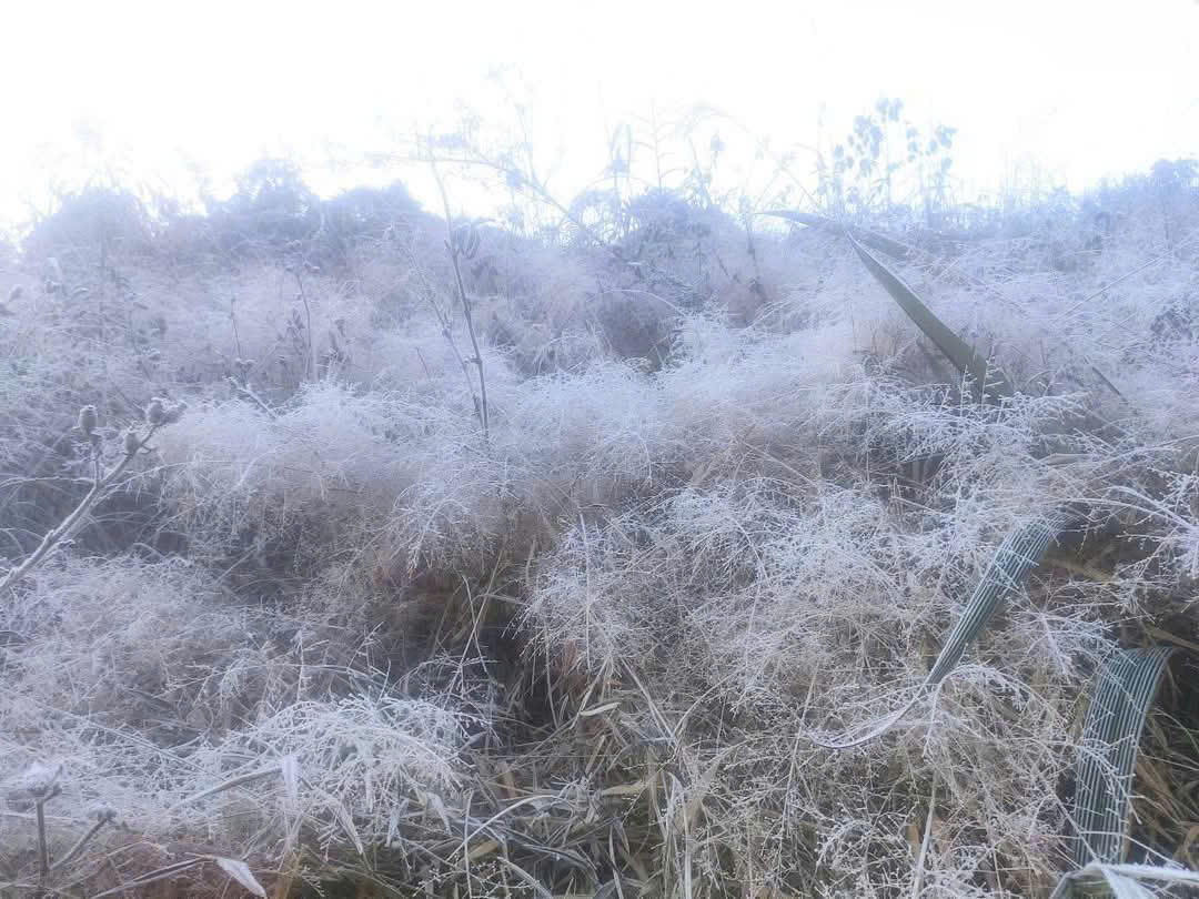 Tuyết rơi ở Y Tý