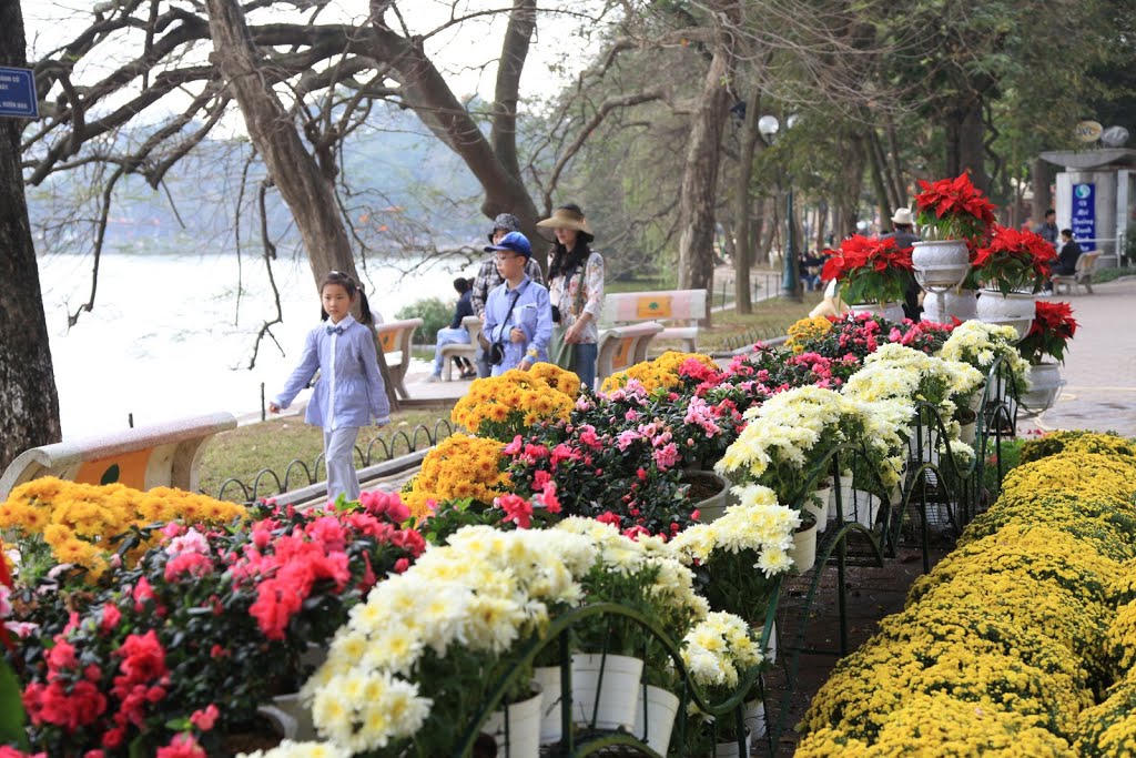 Cận Tết, nhiều chậu hoa Tết ven Hồ Gươm bị mất trộm