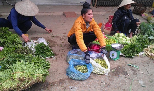 Giật mình đặc sản nhót xanh Yên Bái lên 200 ngàn đồng/kg