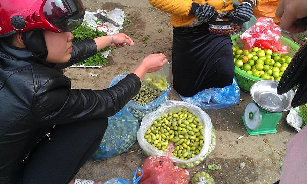 Giật mình đặc sản nhót xanh Yên Bái lên 200 ngàn đồng/kg