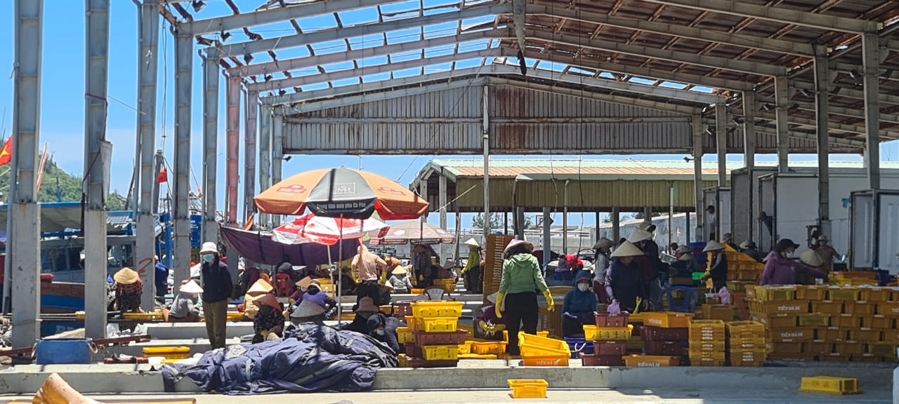 Bài 1: Tàu ngừng ra khơi, ngư dân khóc ròng