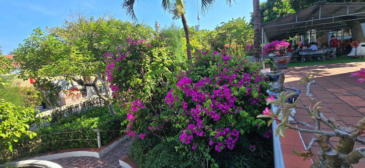 Sức sống mới trên đảo Trường Sa