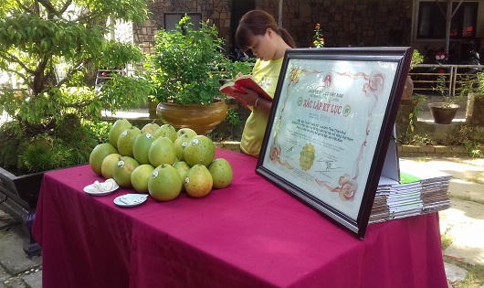 Tìm hướng đi cho đặc sản nông nghiệp Huế