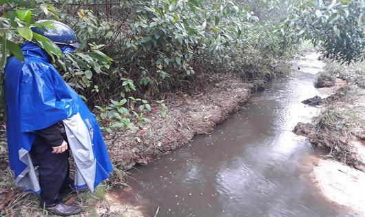 Cá chết hàng loạt trên sông chợ Hôm, người dân nghi do khu công nghiệp xả thải