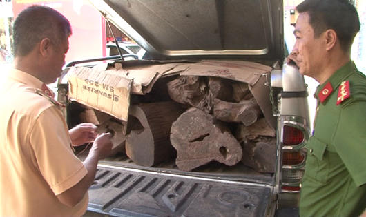Bắt giữ số lượng lớn gỗ lim, gỗ trắc không rõ nguồn gốc