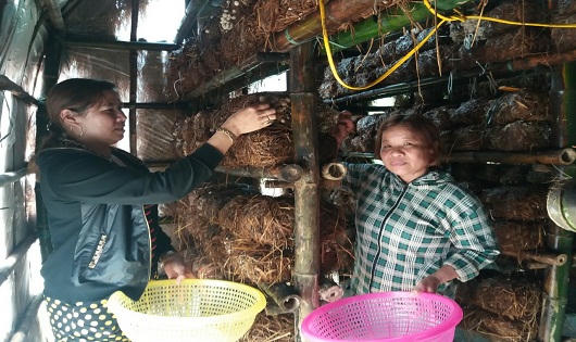 Hoạt động tín dụng chính sách giúp người dân thoát nghèo bền vững