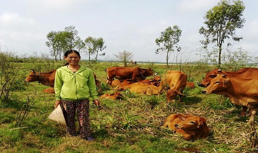 Hoạt động tín dụng chính sách giúp người dân thoát nghèo bền vững