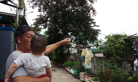 Dân kêu trời vì lò mổ gia súc gây ô nhiễm