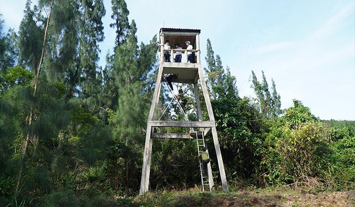 Bảo vệ rừng và phòng cháy, chữa cháy rừng trong mùa nắng nóng