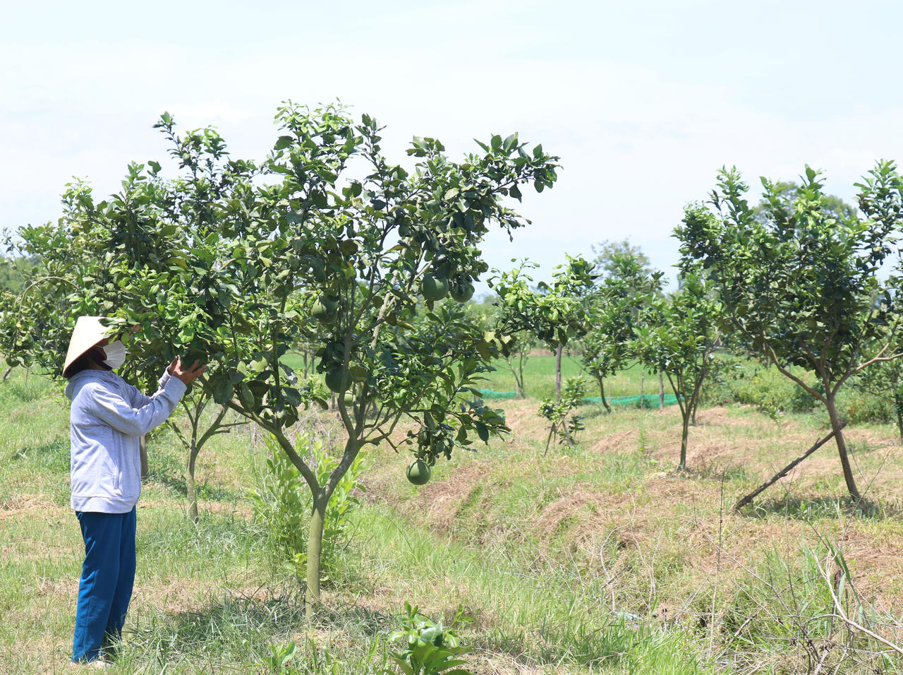 Phát huy hiệu quả từ nguồn vốn ủy thác của địa phương