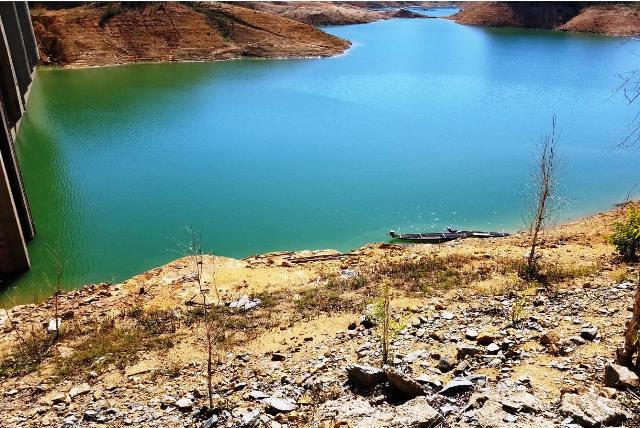 Yêu cầu làm rõ trách nhiệm việc trồng rừng thay thế sai thiết kế tại Ban quản lý rừng phòng hộ sông Hương