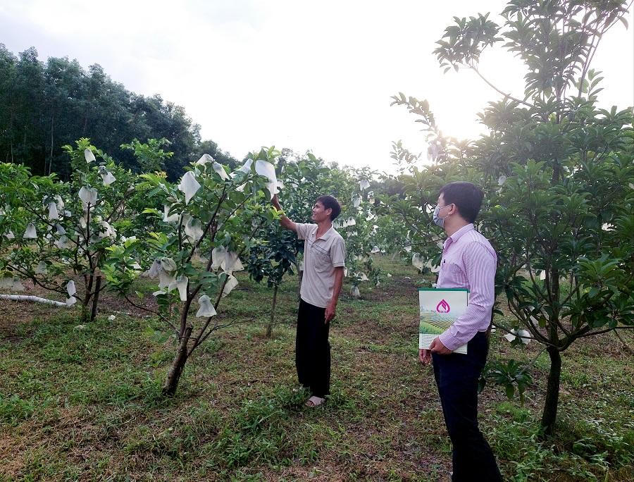 Tín dụng chính sách góp phần thay đổi cuộc sống của người dân Cố đô