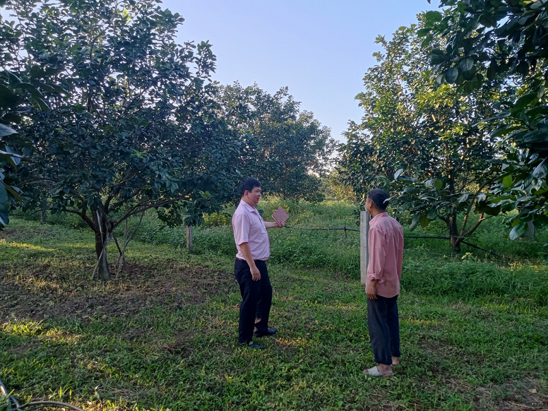 Nghị quyết 11/NQ-CP kịp thời giúp nhiều hộ dân trên địa bàn thị xã Hương Thủy vượt qua khó khăn do đại dịch COVID-19