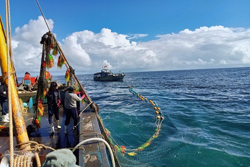 Bắt giữ 2 tàu cá Quảng Ngãi đánh bắt hải sản trái phép