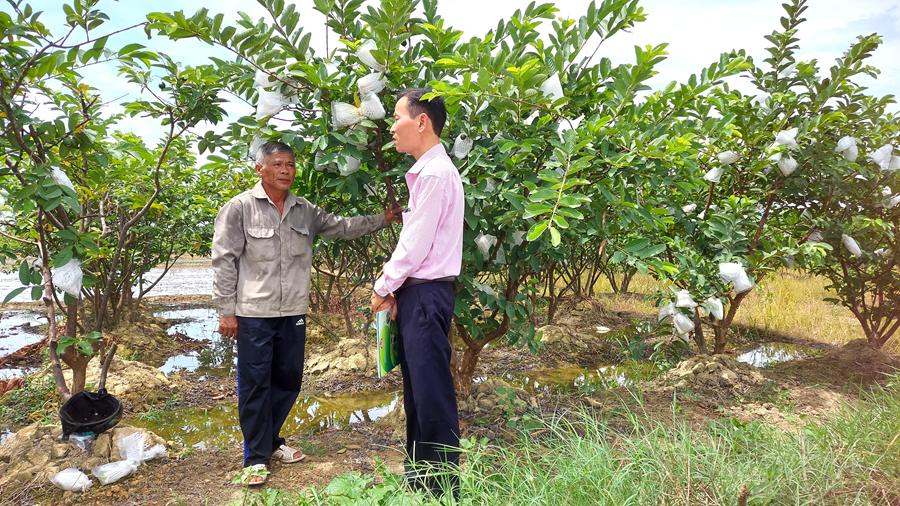 Thị xã Hương Trà (tỉnh Thừa Thiên Huế) tích cực đưa Chỉ thị số 40 đi vào thực tế cuộc sống