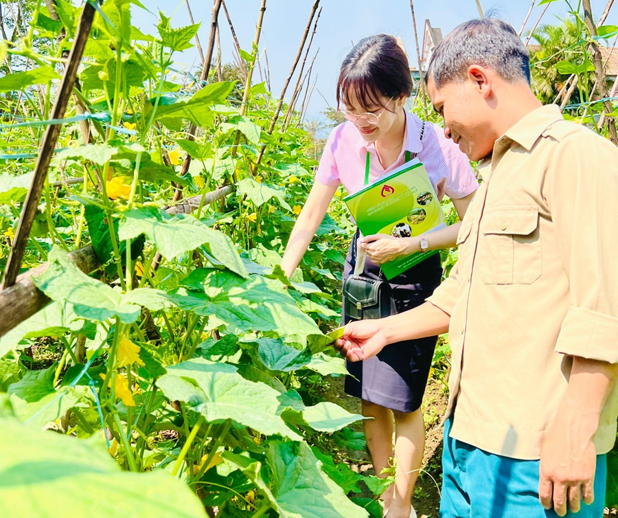 Thực hiện Chỉ thị 40 giúp người dân dễ tiếp cận vốn vay ưu đãi, 'đẩy lùi' tín dụng đen