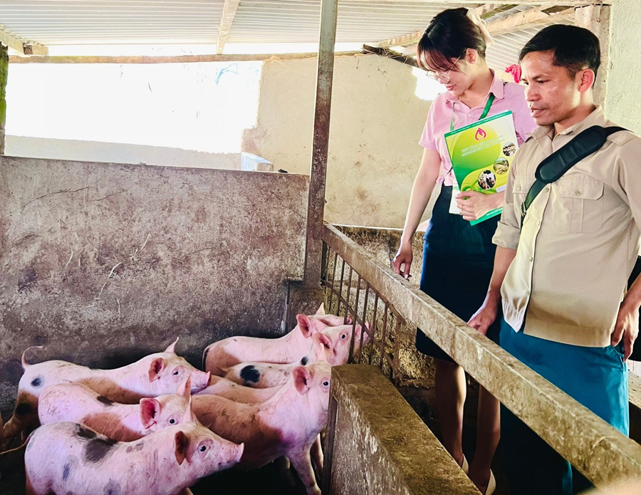 Chỉ thị số 40-CT/TW: Dấu ấn 'đột phá' trong thực hiện tín dụng chính sách xã hội tại Thừa Thiên Huế