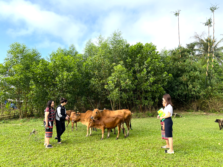 Đổi thay ở huyện miền núi A Lưới sau 10 năm thực hiện Chỉ thị số 40-CT/TW