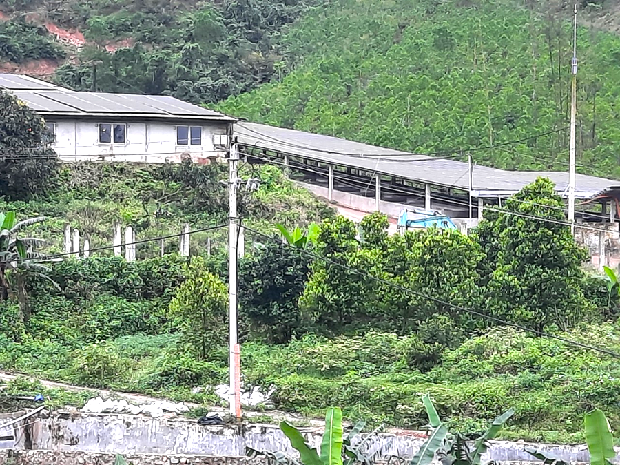 Vi phạm về môi trường, trang trại trên đất của Giám đốc ban xây dựng ở Huế bị xử phạt