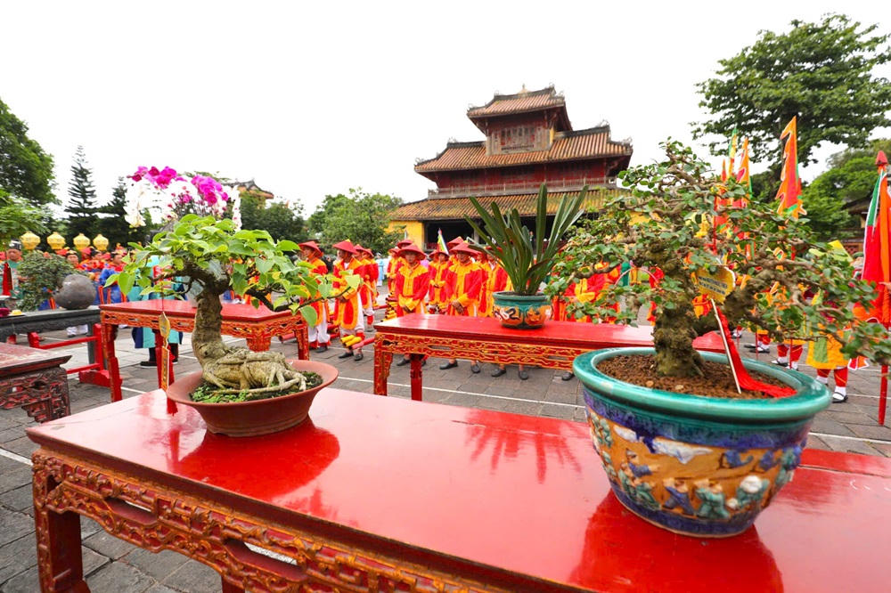 Cây kiểng, phong lan, đá cảnh ba miền hội tụ tại Đại nội Huế