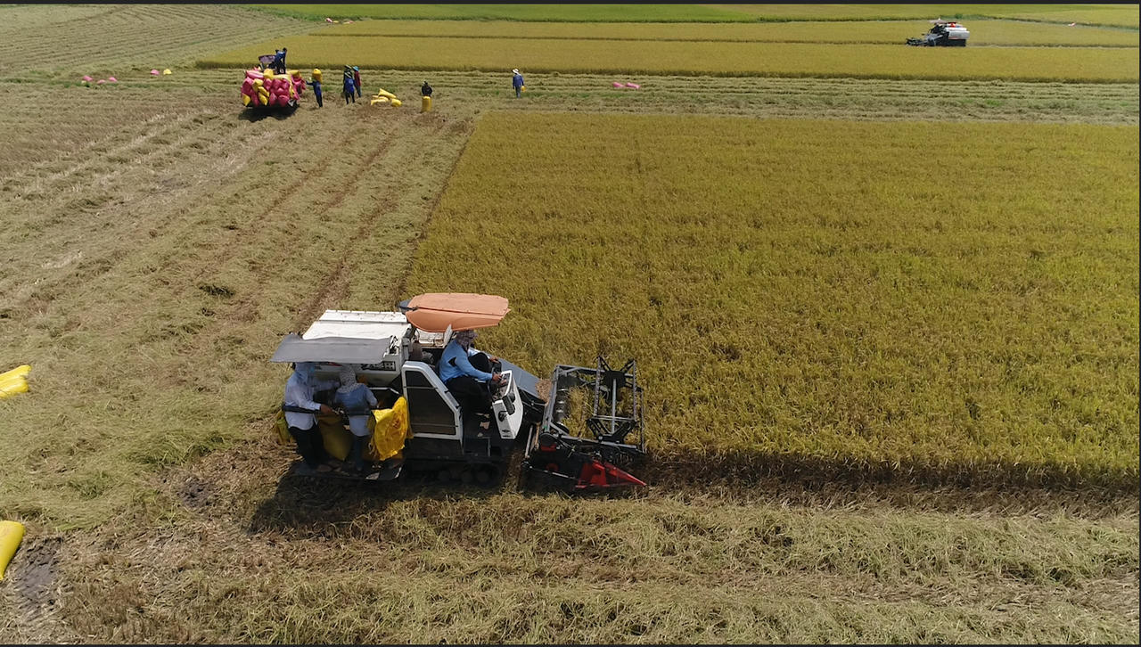 Thành phố Mỹ Tho được công nhận hoàn thành nhiệm vụ xây dựng nông thôn mới.