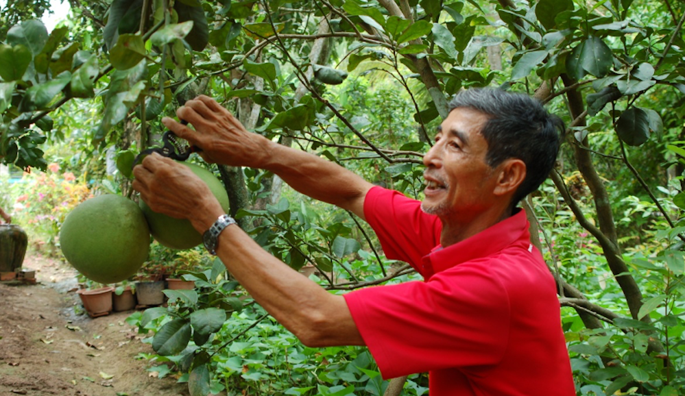 Tỷ lệ hộ nghèo Tiền Giang chỉ còn 1,87%