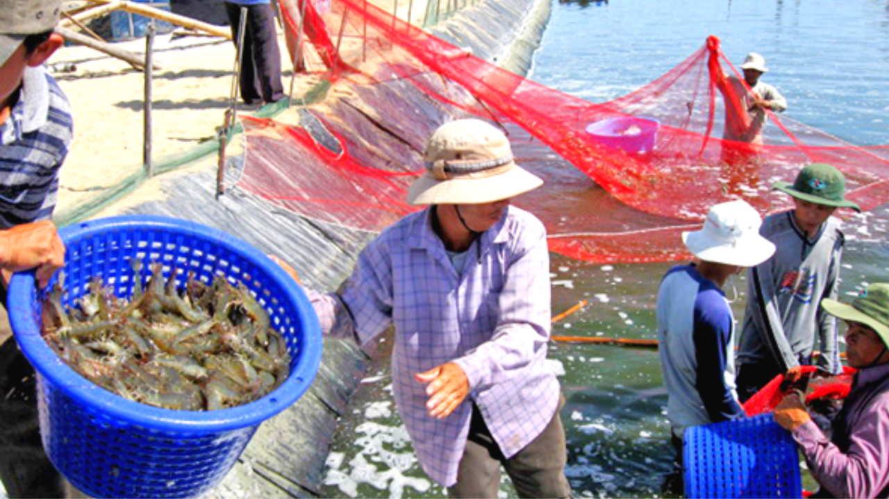 Bến Tre tạo cú huých từ phát triển kinh tế biển