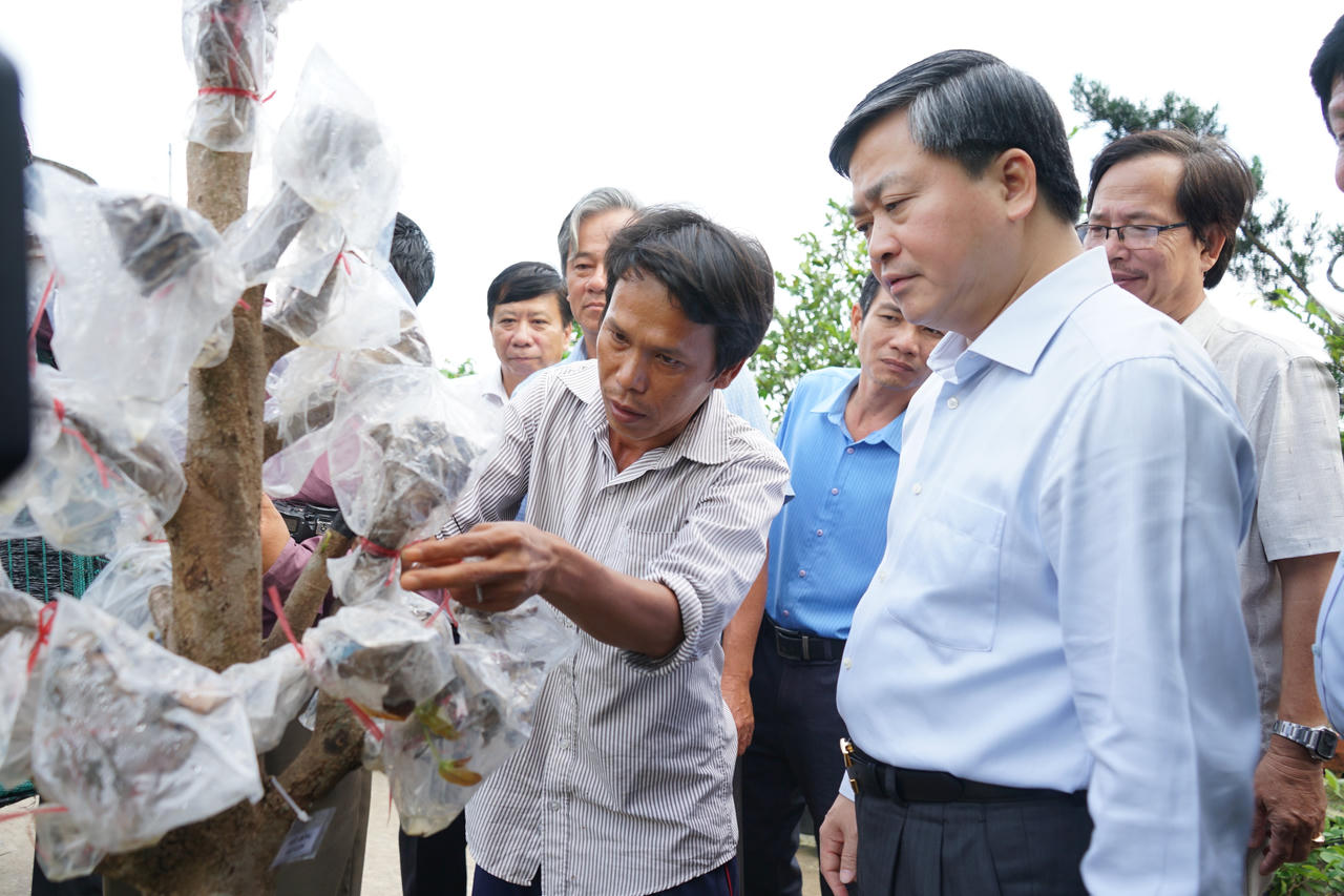 Khát vọng vươn tầm hoa kiểng, cây giống thương hiệu Bến Tre