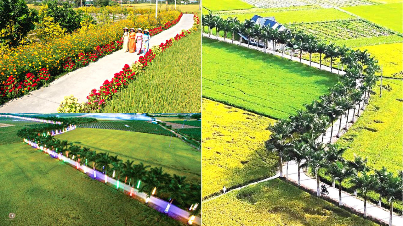 Diện mạo 'nông thôn mới' huyện Tân Trụ (Long An) ngày càng khởi sắc