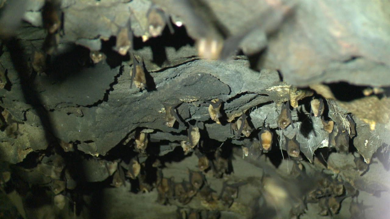 Cát Tiên - Sự quyến rũ từ miền hoang dã