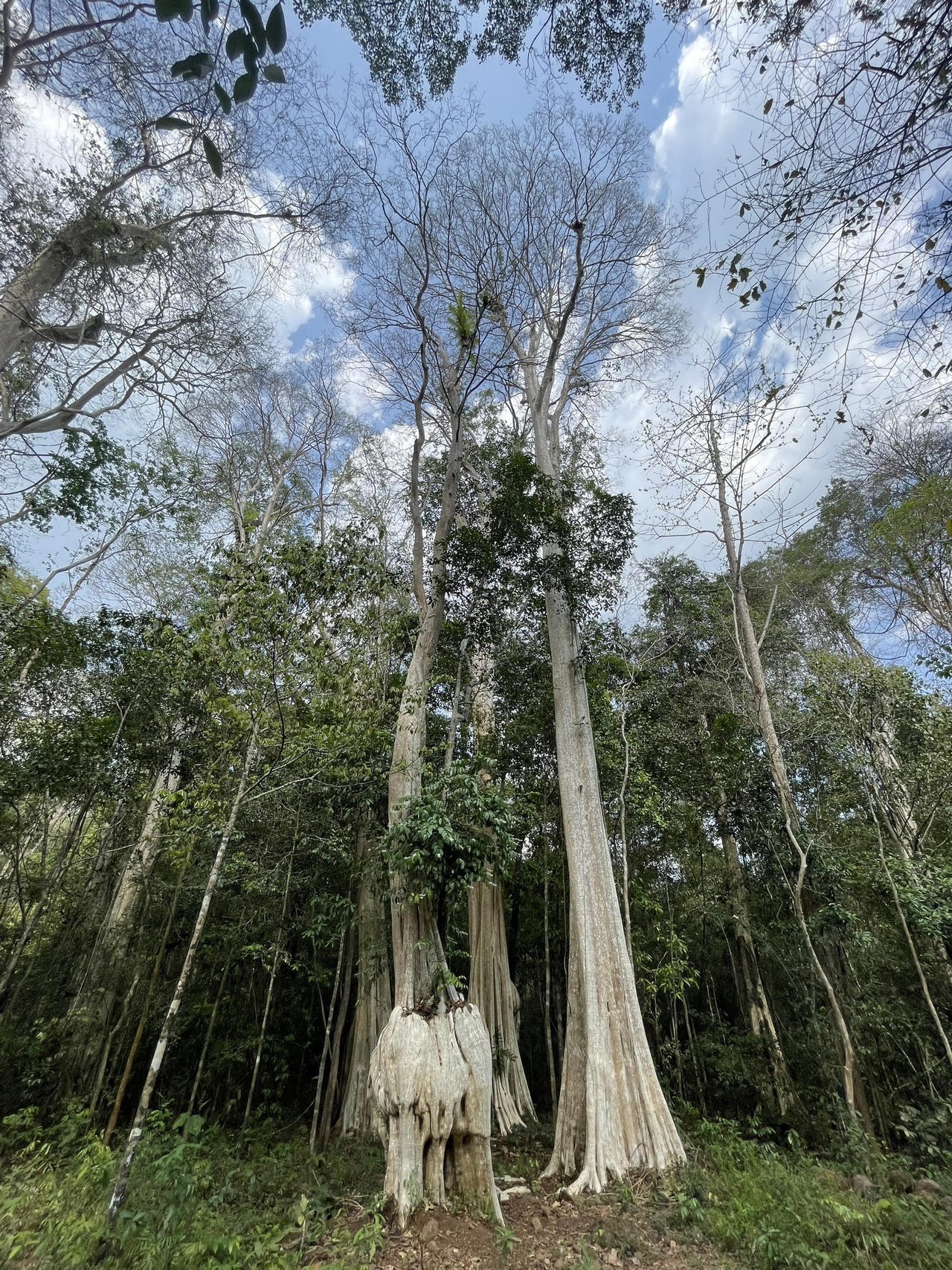 “Hoa hậu Sinh thái Thiếu niên Việt Nam 2023” đã chính thức khởi động