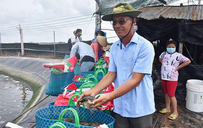 Bến Tre: Thành tựu "đáng nể" từ ứng dụng công nghệ cao