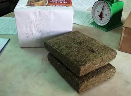 Triệt phá đường dây vận chuyển trái phép cần sa từ Lào về Việt Nam