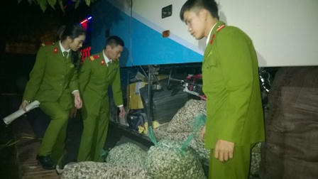 Xe khách chở 500kg nội tạng động vật, 2000 con chim không rõ nguồn gốc xuất xứ