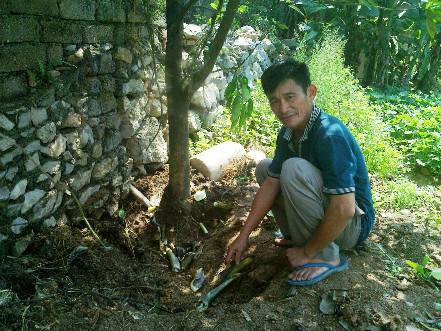 “Lộc” mùng 6 Tết: Đào được củ khoai vạc nặng gần 50kg